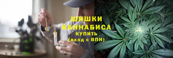 индика Карталы