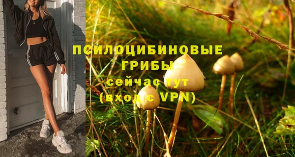 индика Карталы