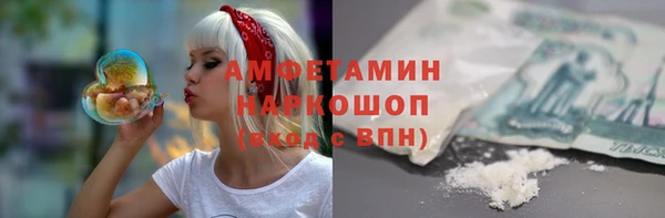 индика Карталы