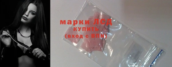 индика Карталы