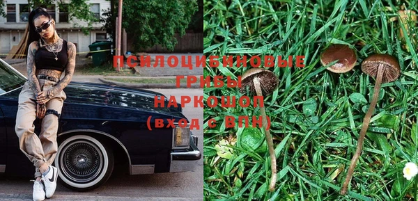 Альфа ПВП Карпинск