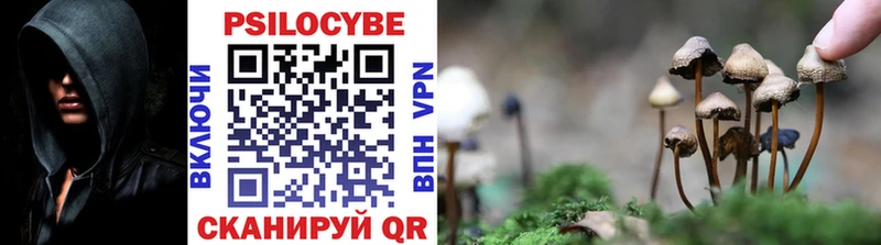 Псилоцибиновые грибы ЛСД  Купить закладки  Тетюши 